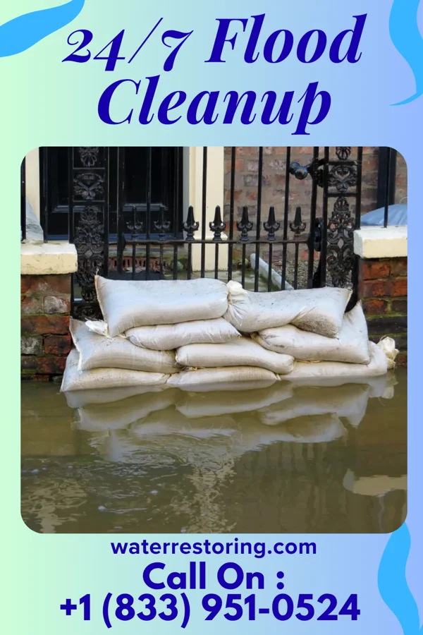 24/7 Flood Cleanup in Newtonia, MO