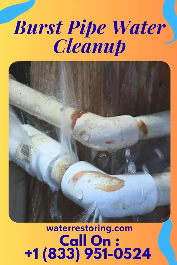 Burst Pipe Water Cleanup in Newtonia, MO