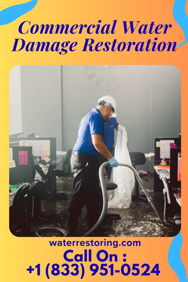 Commercial Water Damage Restoration in Newtonia, MO