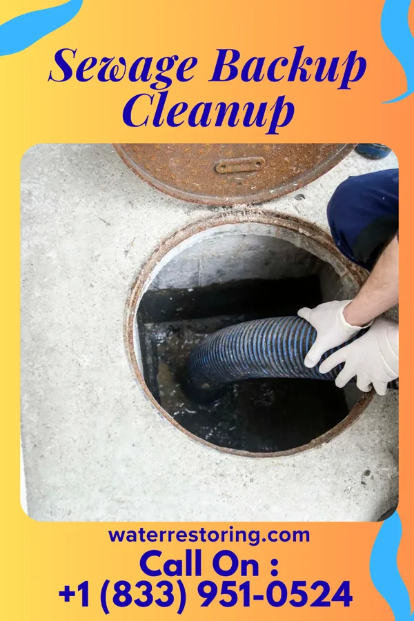 Sewage Backup Cleanup in Newtonia, MO